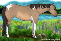 Horse Color:Bay Dun Tobiano