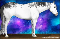 Horse Color:White Spotted Black Sabino Splash 