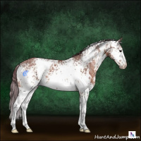 Horse Color:White Spotted Chocolate Bay Ice