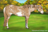 Horse Color:White Spotted Chestnut Sabino Frame 