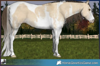 Horse Color:White Spotted Classic Cream Champagne Dun Tobiano