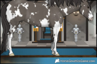 Horse Color:White Spotted Smoky Grullo 