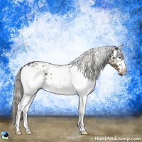 Horse Color:White Spotted Liver Chestnut Mushroom Rabicano 