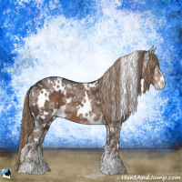 Horse Color:White Spotted Liver Chestnut Ice Sabino 