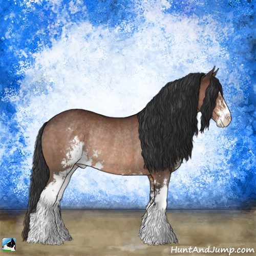 Horse Color:Brown Sabino Rabicano 