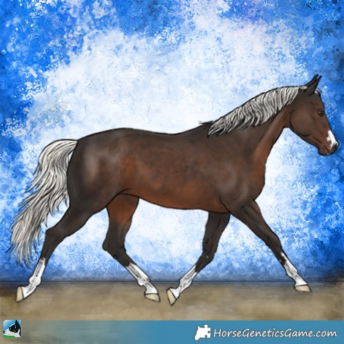 Horse Color:Liver Chestnut Mushroom