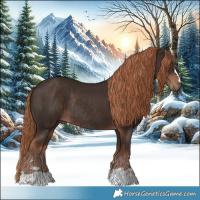 Horse Color:Liver Chestnut Rabicano 