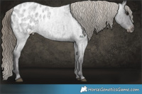 Horse Color:Smoky Blue Ice Roan Appaloosa 