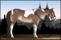 Horse Color:Liver Chestnut Tobiano 