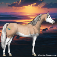 Horse Color:Silver Sable Champagne Splash Rabicano 