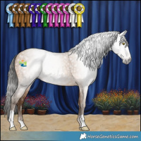 Horse Color:Gray Amber Champagne