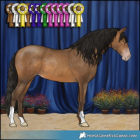 Horse Color:Gray Amber Champagne 