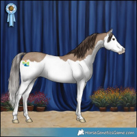 Horse Color:Classic Champagne Splash Rabicano 