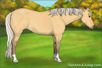 Horse Color:Silver Buckskin Dun
