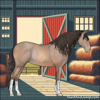 Horse Color:Sable Champagne Rabicano  and Amber Champagne Rabicano 