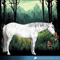 Horse Color:Brown Sabino Near Leopard 