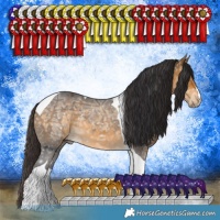 Horse Color:Buckskin Ice Tobiano Rabicano 