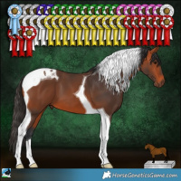 Horse Color:Bay Tobiano 