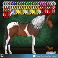 Horse Color:Bay Tobiano 