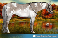Horse Color:White Spotted Liver Red Dun Roan Rabicano 