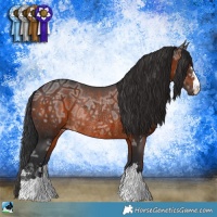 Horse Color:Brown Ice Rabicano 