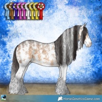 Horse Color:Buckskin Ice Sabino 