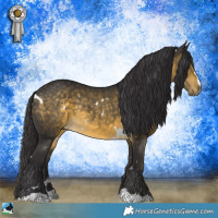 Horse Color:White Spotted Buckskin Mushroom Rabicano