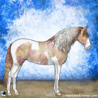 Horse Color:Nacre Gold Champagne Ice Sabino Tobiano 