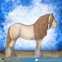 Horse Color:Buckskin Pearl Rabicano 