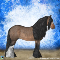 Horse Color:Brown Dun Rabicano 