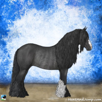 Horse Color:Black Mushroom Rabicano 