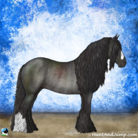 Horse Color:Smoky Black Rabicano