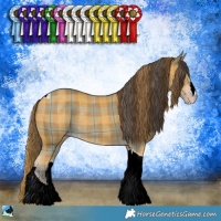 Horse Color:Plaid Classic Cream Champagne Tobiano Rabicano