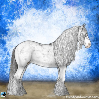 Horse Color:Smoky Black Mushroom Sabino Rabicano