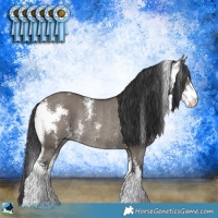 Horse Color:Grullo Mushroom Sabino Rabicano Brindle