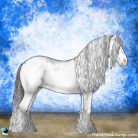 Horse Color:Smoky Black Mushroom Sabino Rabicano 