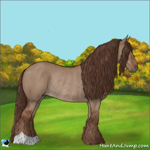 Horse Color:Liver Red Dun Rabicano 