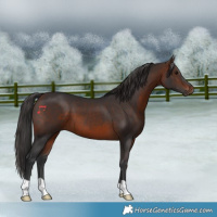 Horse Color:Brown 
