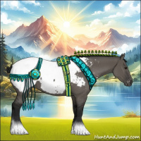 Horse Color:Gray Grullo Appaloosa 