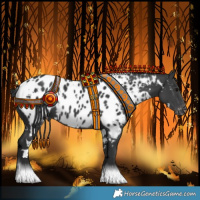 Horse Color:White Spotted Black Near Leopard 