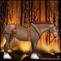 Horse Color:Gray Black Pearl Appaloosa 