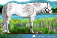 Horse Color:Platinum Plaid  Liver Red Dun Sabino Rabicano Brindle 