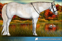 Horse Color:White Spotted Chocolate Palomino Roan Mushroom Splash 