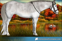 Horse Color:Liver Red Roan Mushroom Splash 