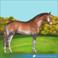 Horse Color:Chocolate Palomino Onyx