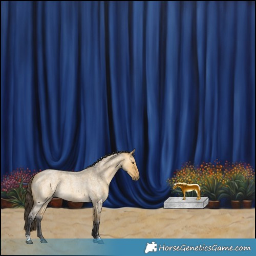 Horse Color:Buckskin Roan Dun 