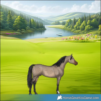 Horse Color:Brown Dun 
