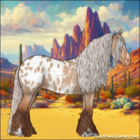 Horse Color:Silver Bay Dun Sabino Appaloosa Rabicano 
