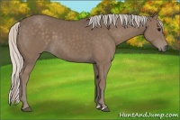 Horse Color:Silver Black 