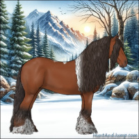 Horse Color:Bay Tobiano Rabicano 